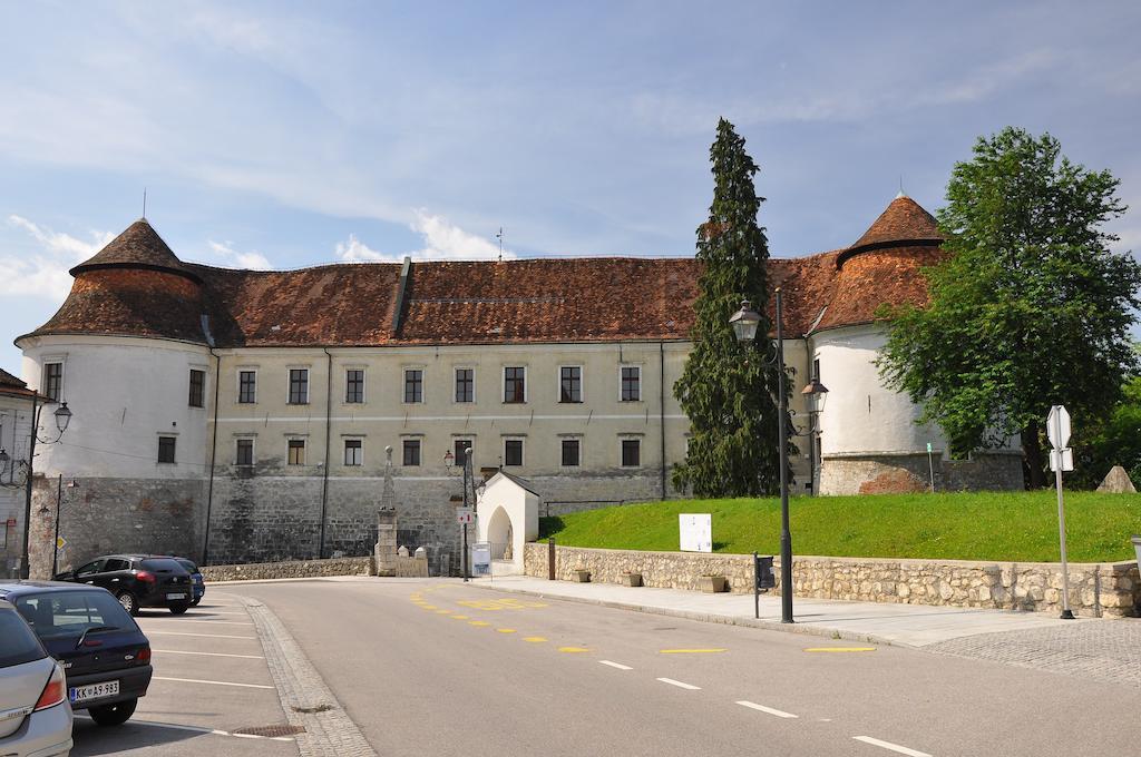 Apartment Gasa Brežice Стая снимка