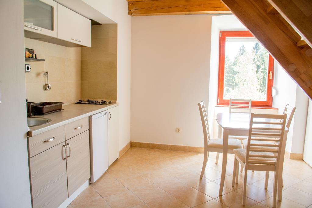 Apartment Gasa Brežice Екстериор снимка